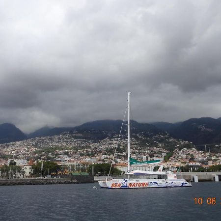 Stay In Madeira フンシャル エクステリア 写真