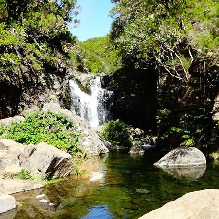 Stay In Madeira フンシャル 部屋 写真