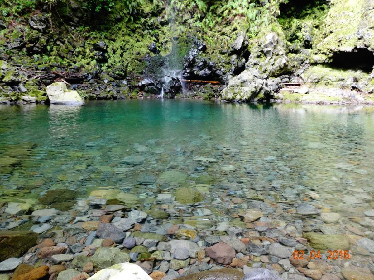 Stay In Madeira フンシャル エクステリア 写真